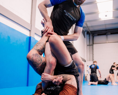 brazilian jiu jitsu belts